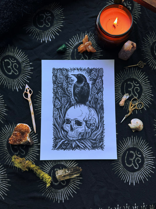Fine Art Print // Bird & Skull
