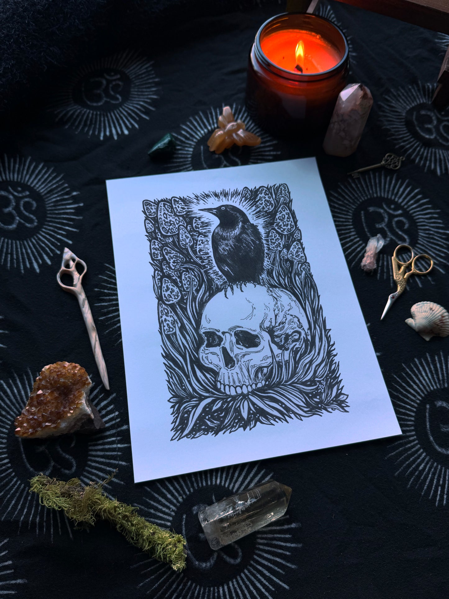 Fine Art Print // Bird & Skull